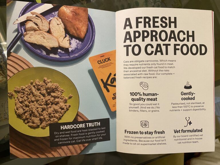 Katkin, an example of effective branding.