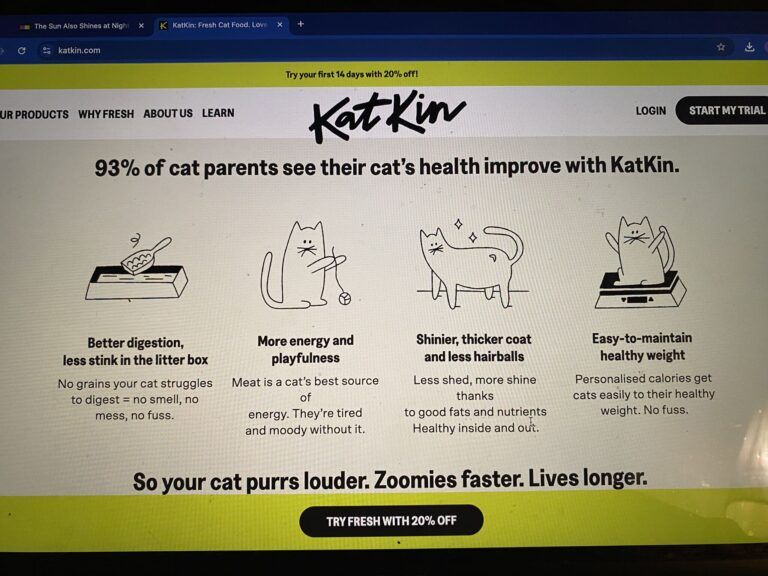 Katkin, an example of effective branding.